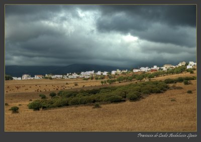DSC_0122 Provincia de Cadiz.