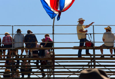 Catching some sunshine atop the grandstand.