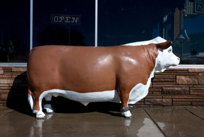 Bull outside a steak house, west of Flagstaff.