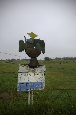 Go, Go Ross Perot sculpture.