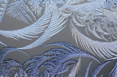 Rimfrost - Frost on window