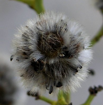 Pc220407.jpg