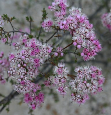 Pc291150.jpg