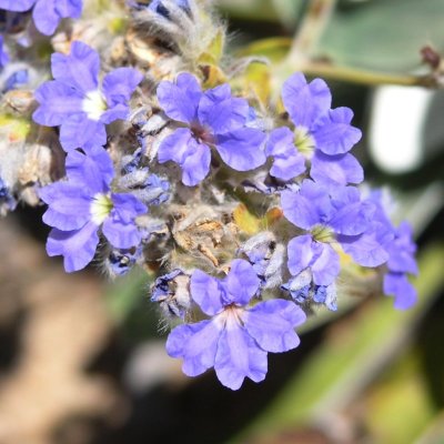 P1021571.jpg