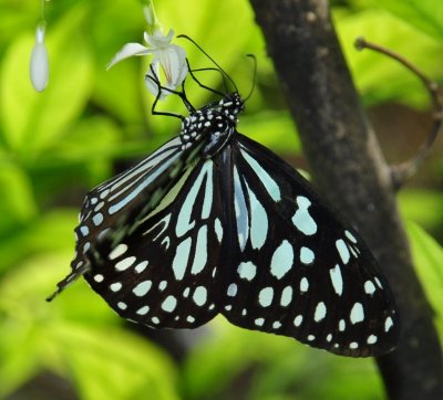 Dsc_2747.jpg