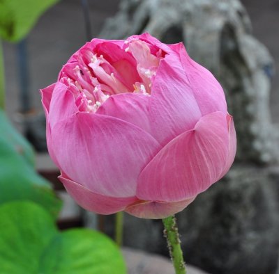 Dsc_2820.jpg