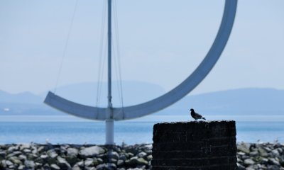 g1/63/668763/3/114403151.FZFqT6Qv.jpg