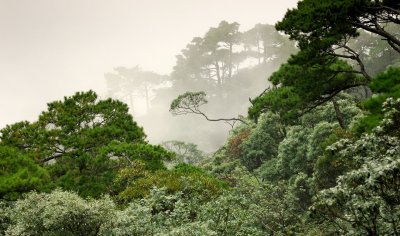 g1/63/668763/3/118041110.NZisf33E.jpg