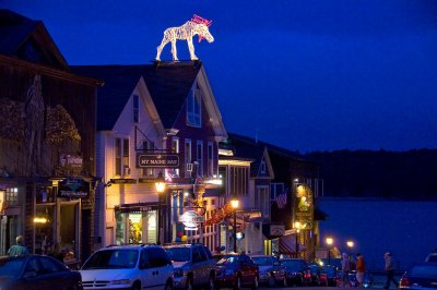 Bar Harbor - Electrical Moose