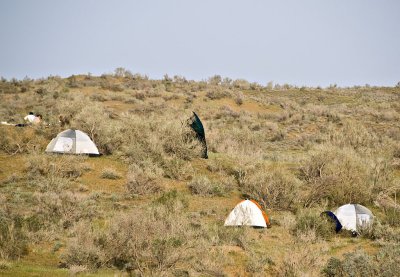Tents in the steppe