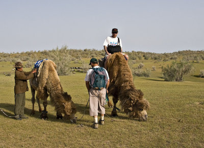 Preparing the camel