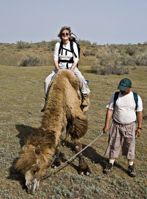 Last pictures with the camels