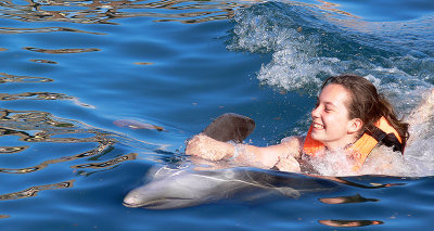 Swim with the dolphin
