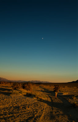 Leaving Death Valley .. soon but not now !