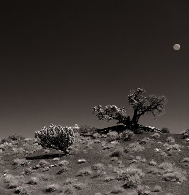 Monument Valley in B/W