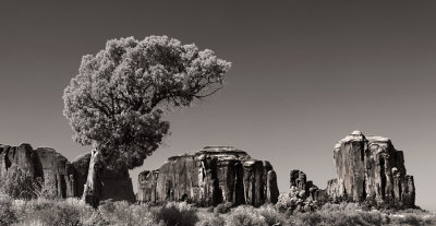 Monument Valley in B/W