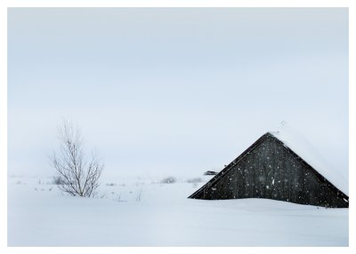 Silence under the Snow