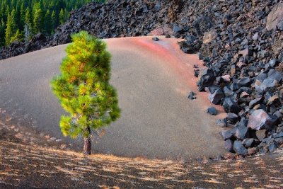 Lassen  NP