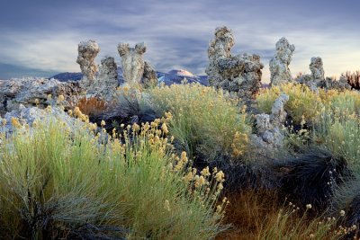 Mono Lake Tufa