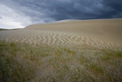 Killpecker Dunes