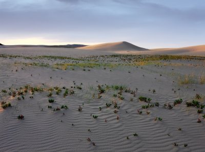 Killpecker Dunes