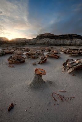 Bisti Badlands