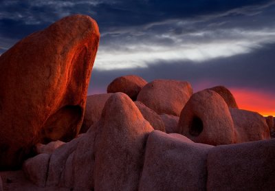 Joshua Tree NP