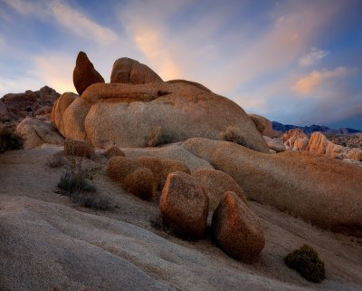 Joshua Tree NP