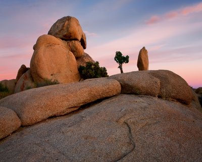 205AJoshua Tree NP