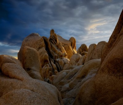 Joshua Tree NP