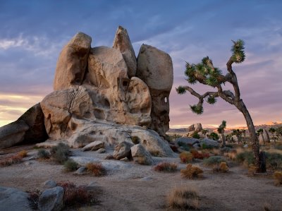 Joshua Tree NP