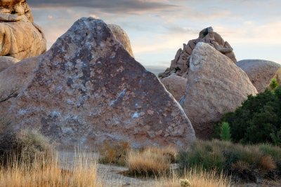 Joshua Tree NP