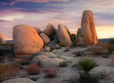 Joshua Tree NP