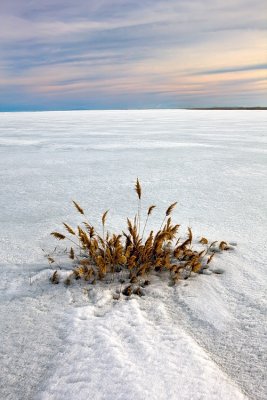 Bear River MBR
