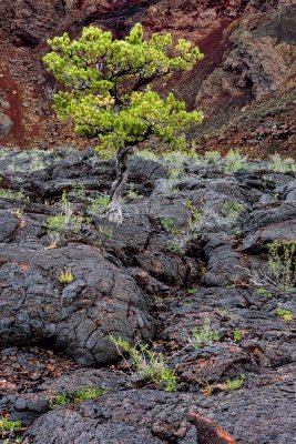 Craters of the Moon