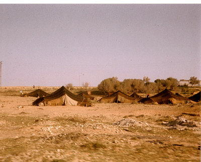 Bedouins, Tripoli Libya