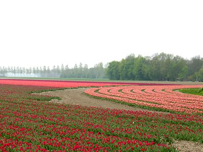 Holland (16).JPG