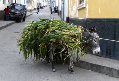 Peru (13).jpg