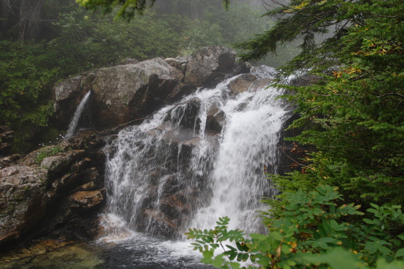 _MG_3861.JPG