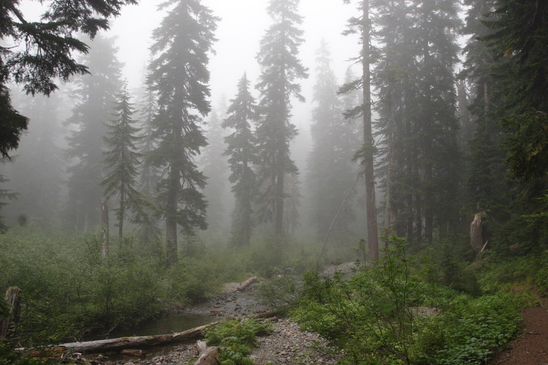 _MG_3864.JPG