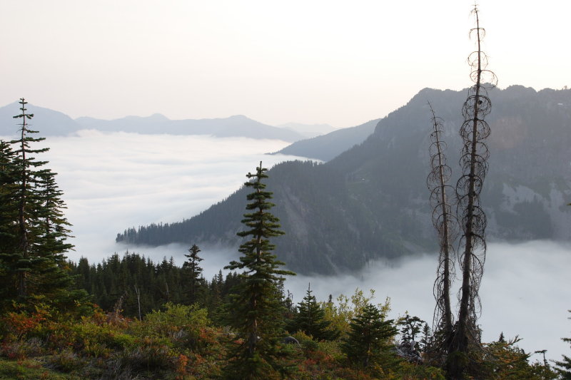 _MG_3885.JPG