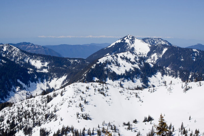 _MG_8555.JPG