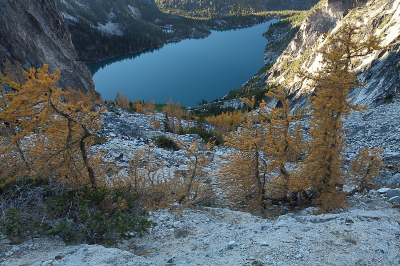 _MG_8236.JPG