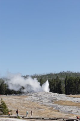 _MG_2117.JPG