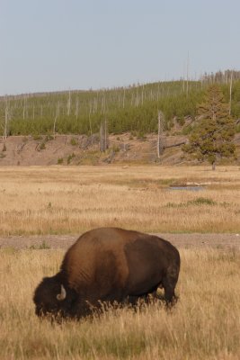 _MG_2143.JPG