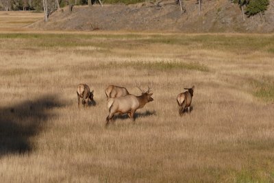 _MG_2198.JPG