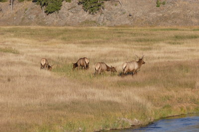 _MG_2202.JPG