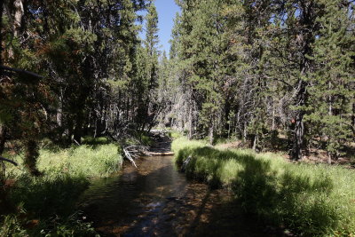 _MG_4497.JPG