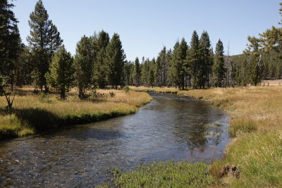 _MG_4514.JPG