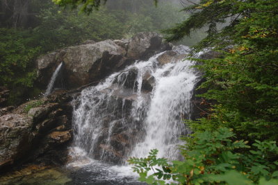 _MG_3861.JPG